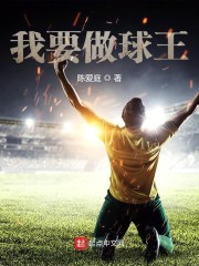 ��Ҫ������