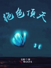 ��ɫ����