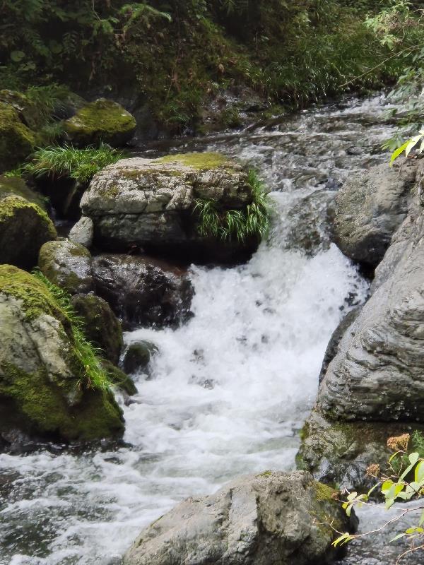 �Ÿ�һ�ξ��쳾