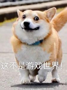 ס�֣��ⲻ����Ϸ���磡